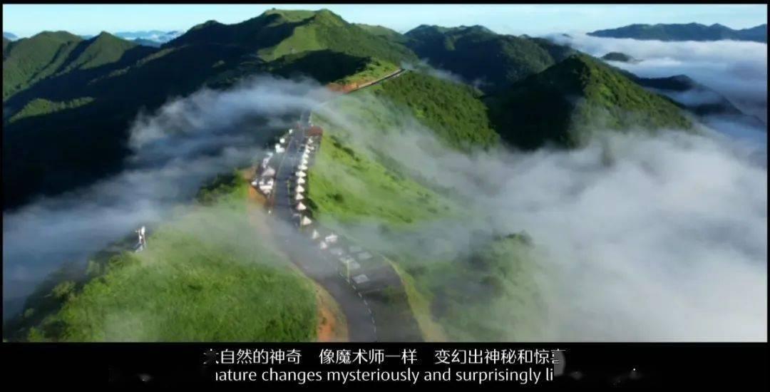 植物大战僵尸15